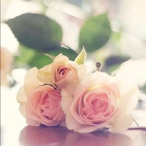 Meet your Posher, Shari